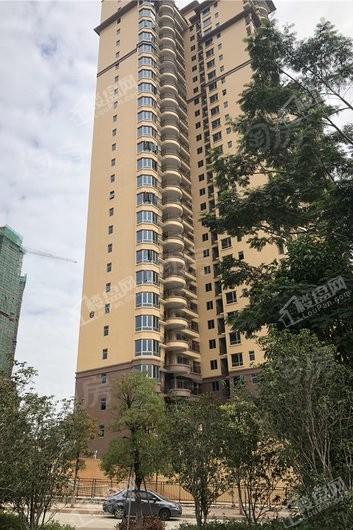 东江豪门实景图