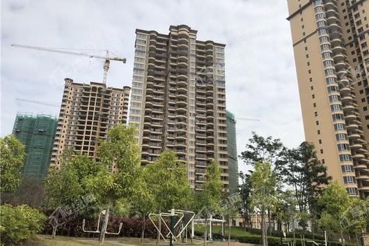 东江豪门实景图