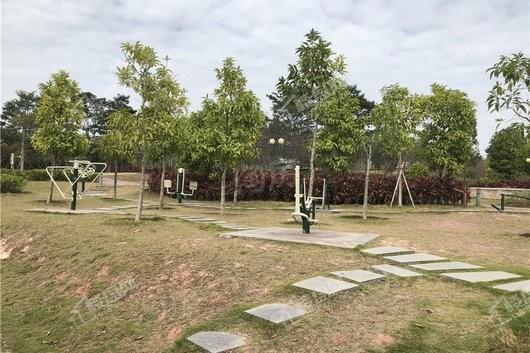东江豪门配套图