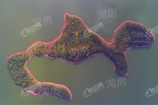 玖龙台配套图