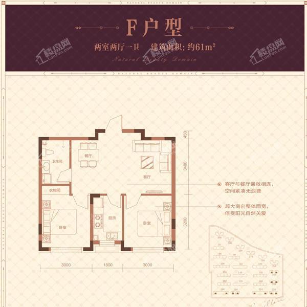 61平2室2厅1卫F户型