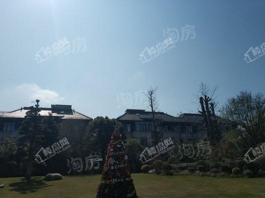 天和尚海庭前实景图