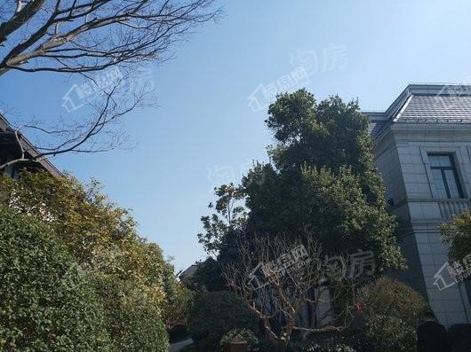 天和尚海庭前实景图