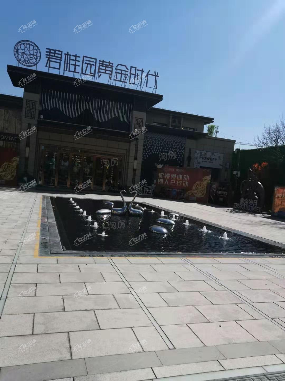泰安碧桂园黄金时代实景图