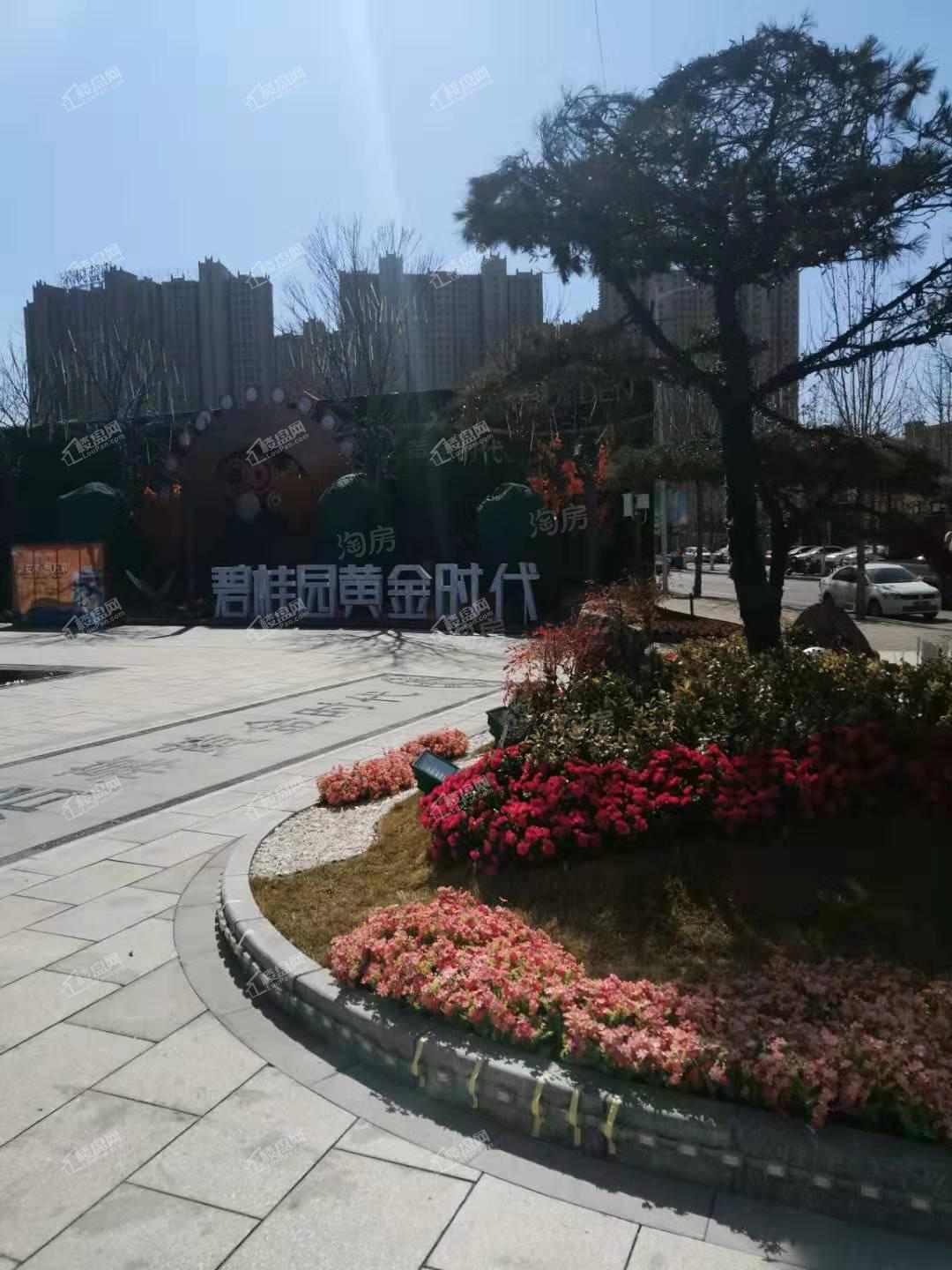 泰安碧桂园黄金时代实景图