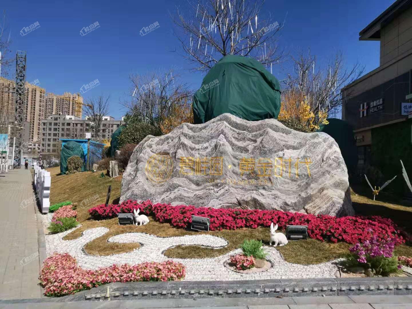 泰安碧桂园黄金时代实景图