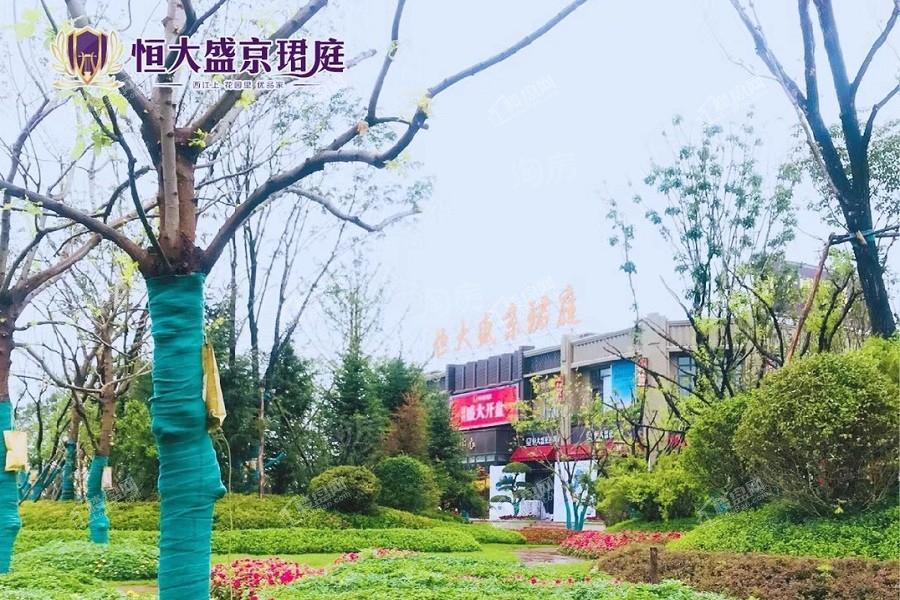 恒大盛京珺庭实景图