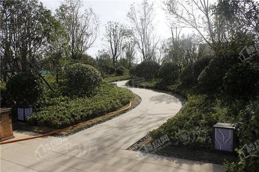 远洋风景实景图