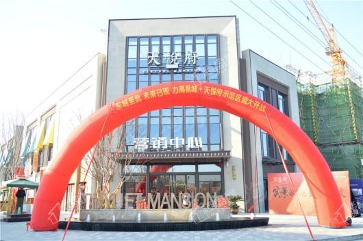 力高前城·天悦府实景图
