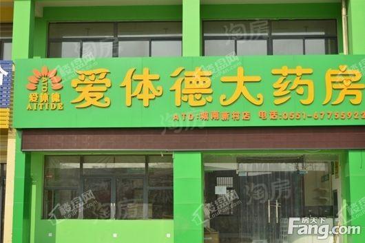 力高前城·天悦府配套图