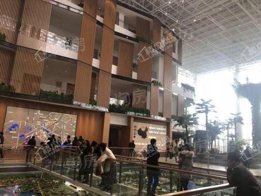祥源花世界实景图