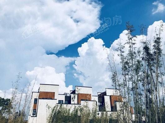 世茂国风实景图