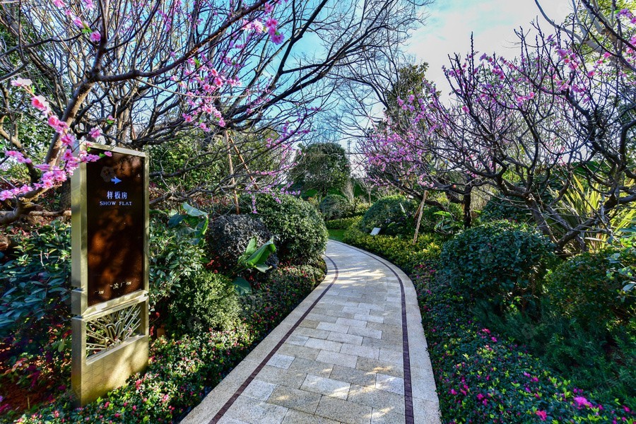 巫家坝金茂广场实景图