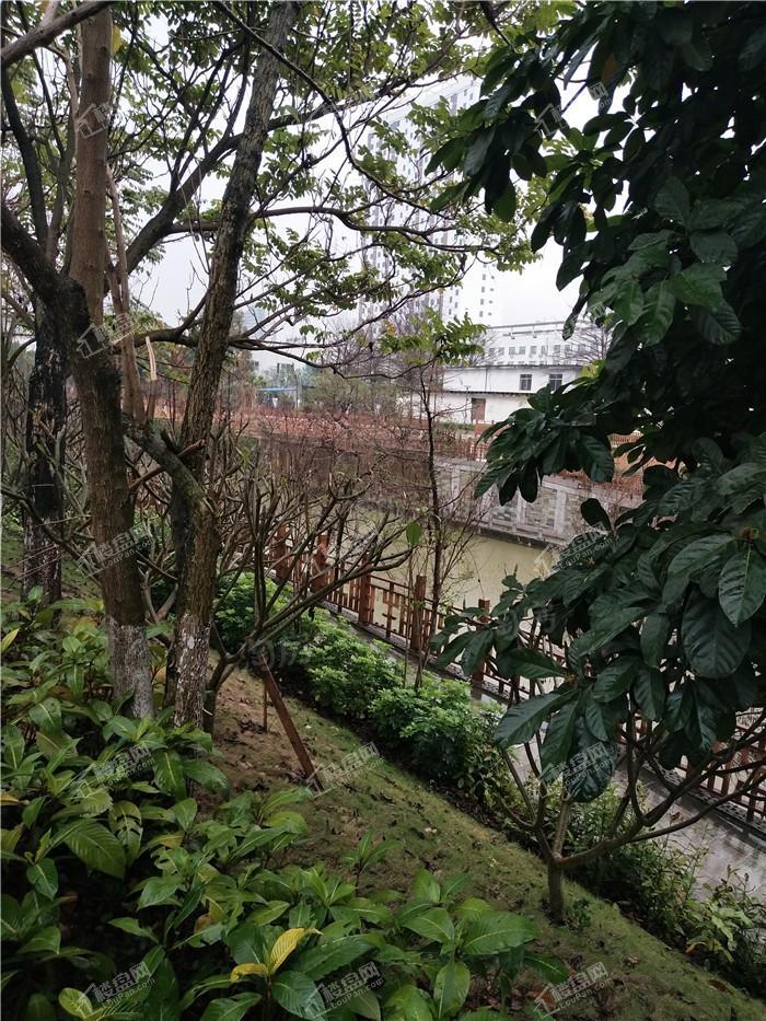招商榕园实景图