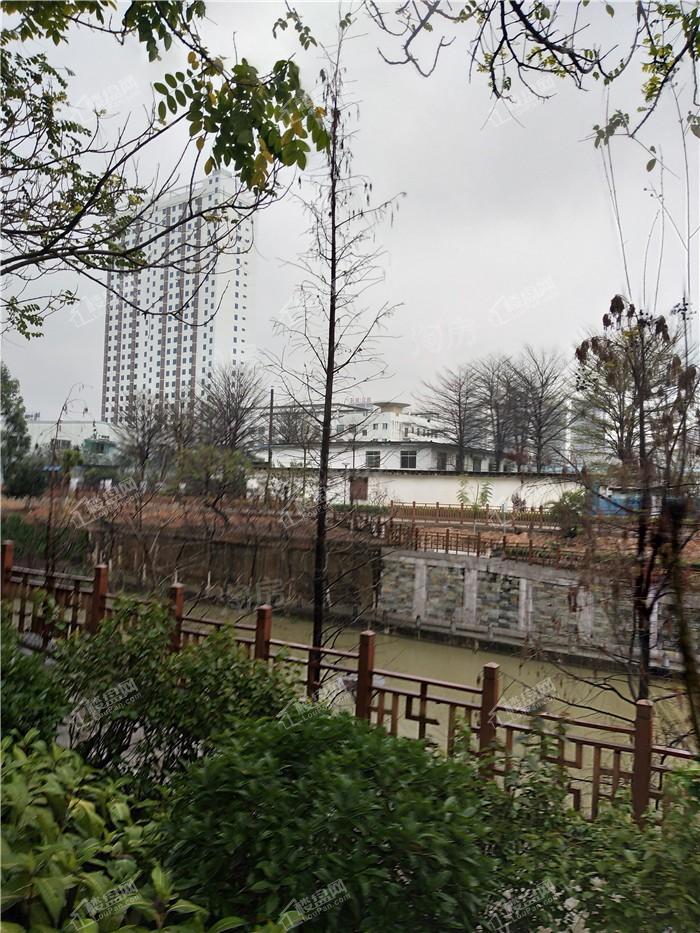 招商榕园实景图