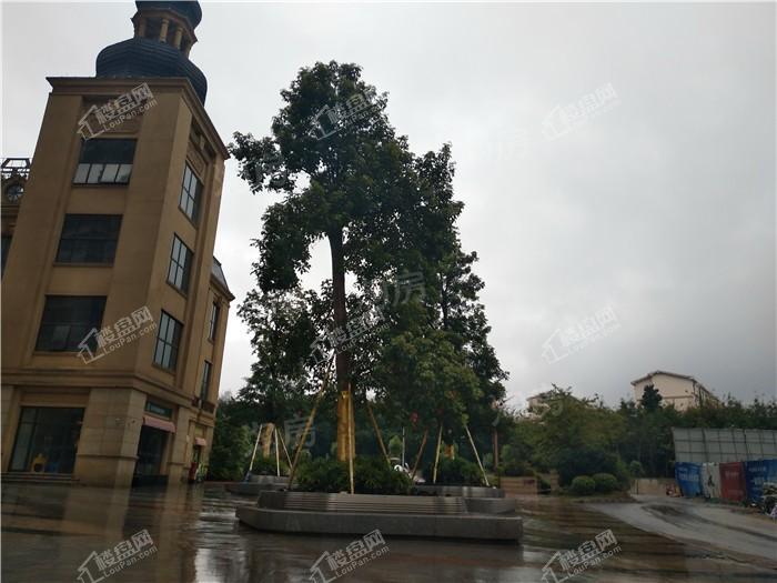 金悦澜湾实景图