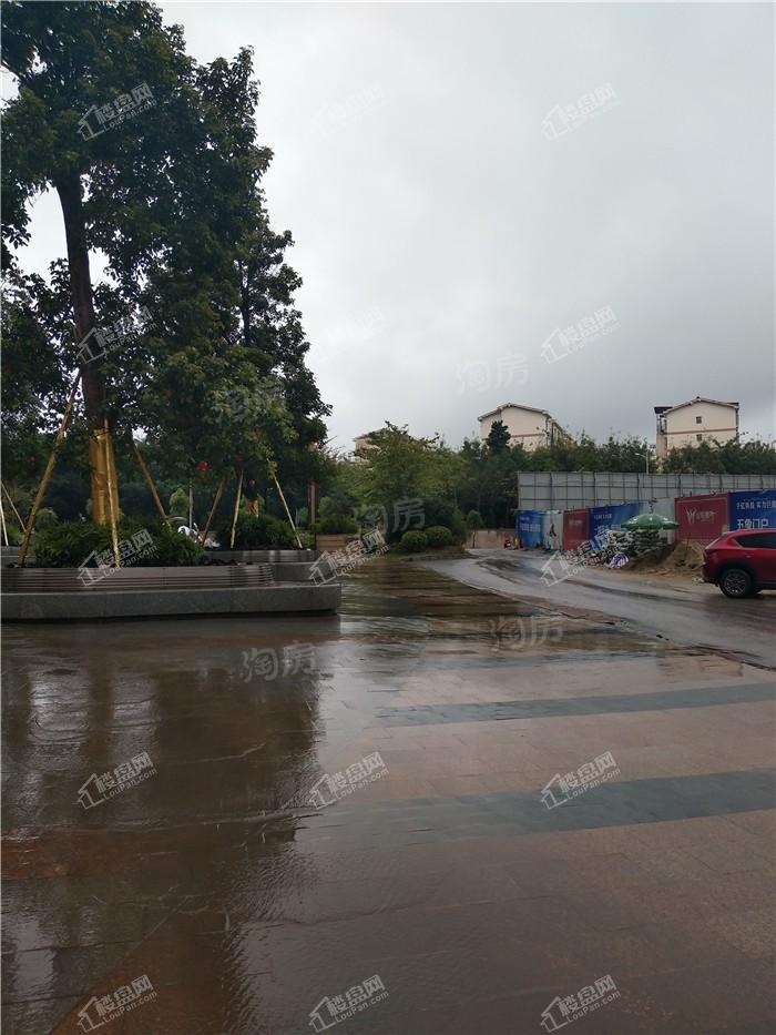 金悦澜湾实景图