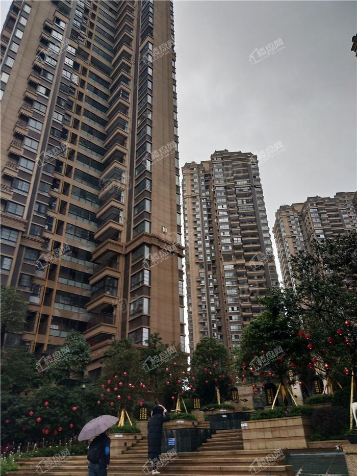 金悦澜湾实景图