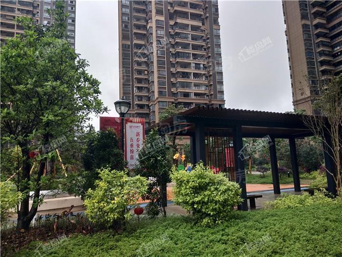 金悦澜湾实景图