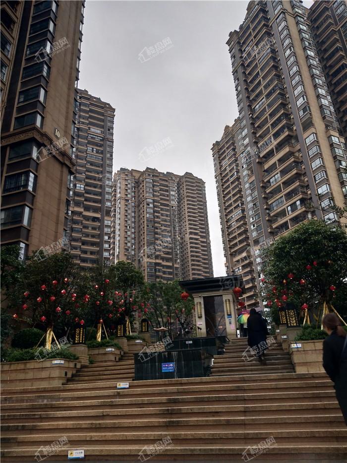 金悦澜湾实景图