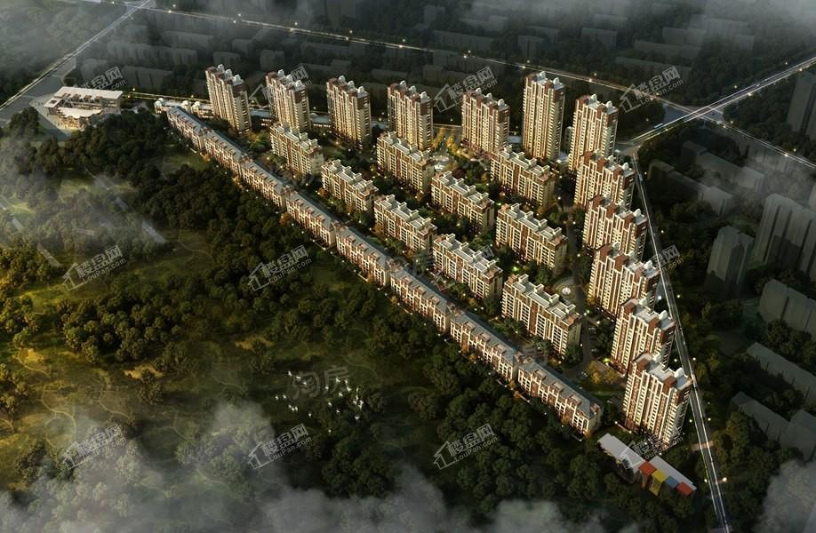 格林木棉花效果图
