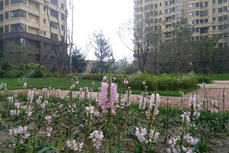 广厦绿园实景图