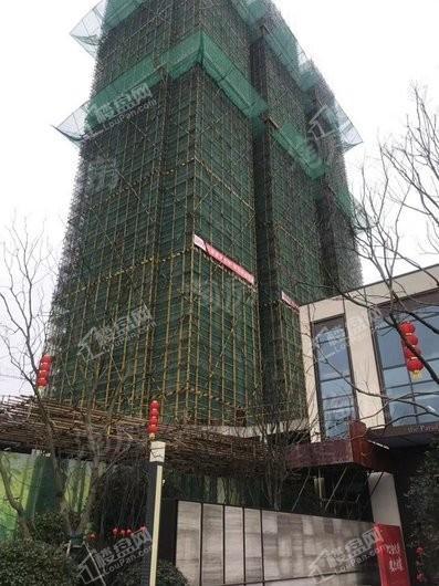 万科金域江湾实景图