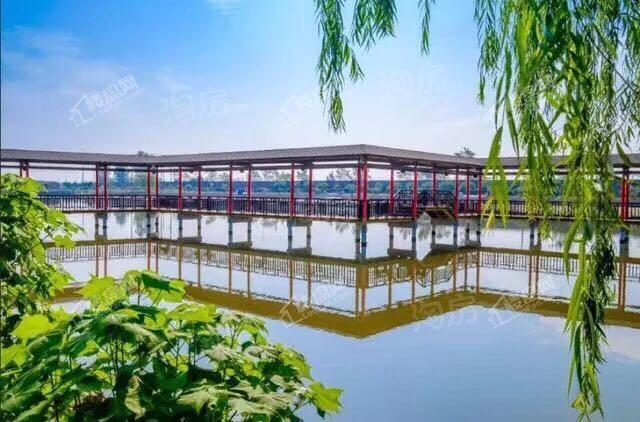 红树东岸效果图
