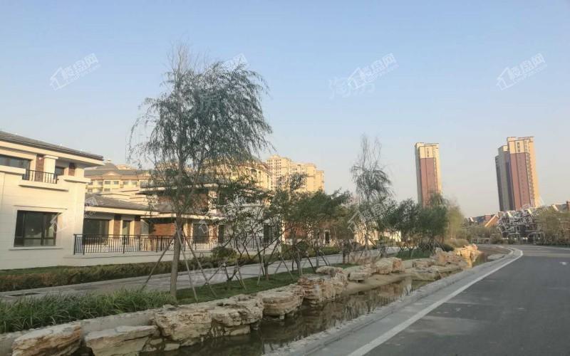 爱晚大爱城别墅实景图