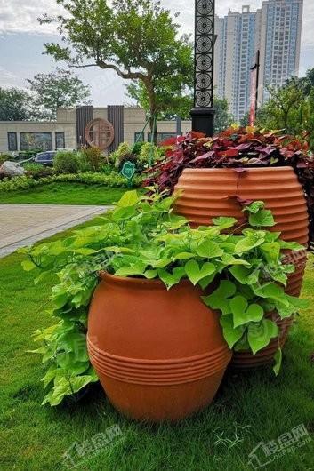 禧临门实景图