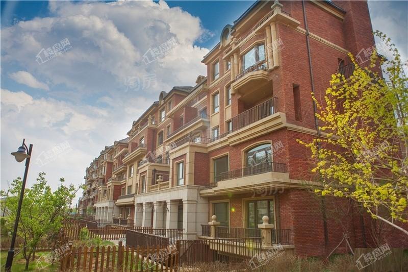 卓尔沈阳客厅实景图