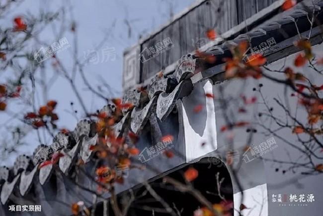 和泓蓝城·桃花源效果图