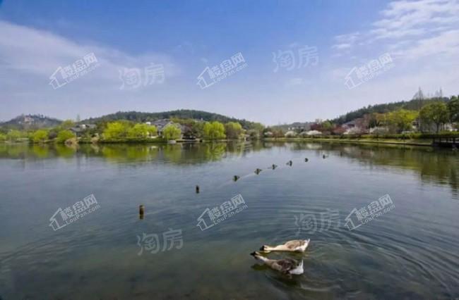 和泓蓝城·桃花源效果图