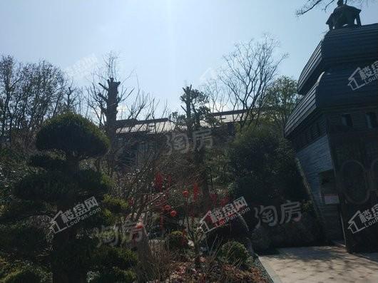 天和尚海庭前实景图