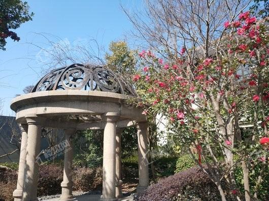 天和尚海庭前实景图