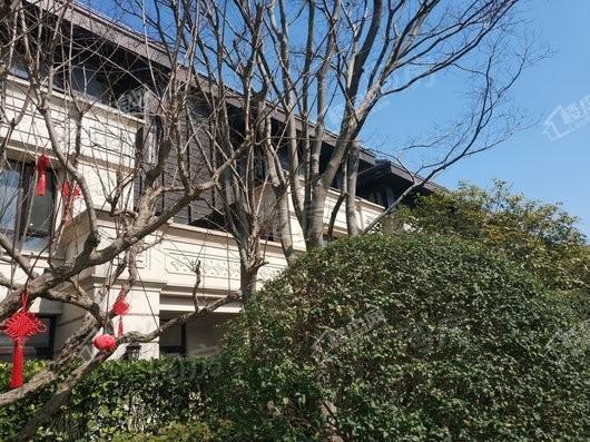 天和尚海庭前实景图