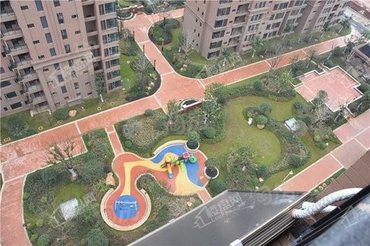 枫泽星都汇实景图
