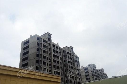 金尊华府实景图