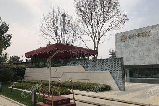 保利梧桐语实景图