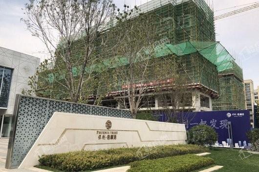 保利梧桐语实景图