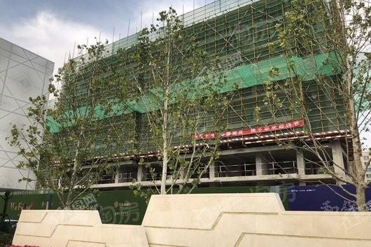 保利梧桐语实景图