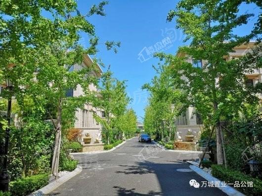 万城一品公馆实景图