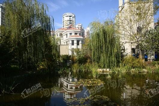 大华艺墅实景图
