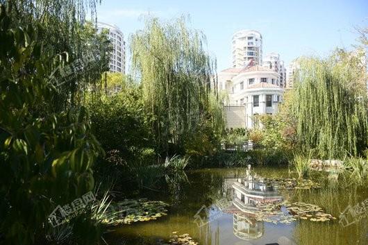 大华艺墅实景图
