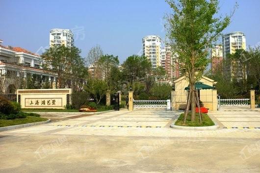 大华艺墅实景图