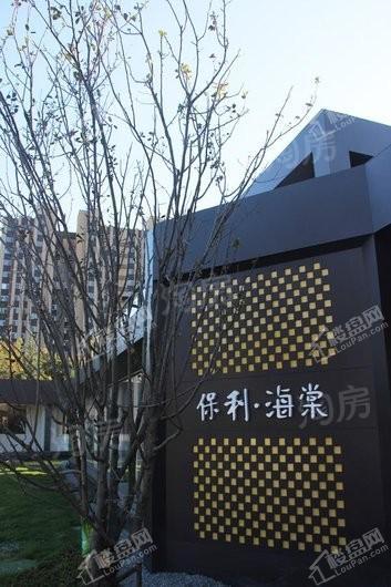 保利海棠实景图