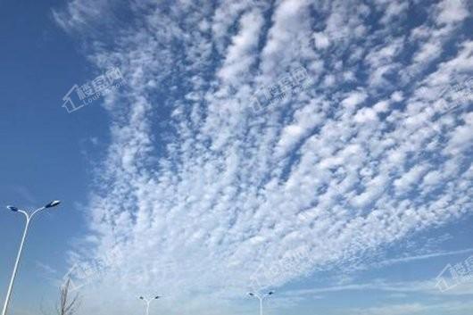 逍遥公寓实景图