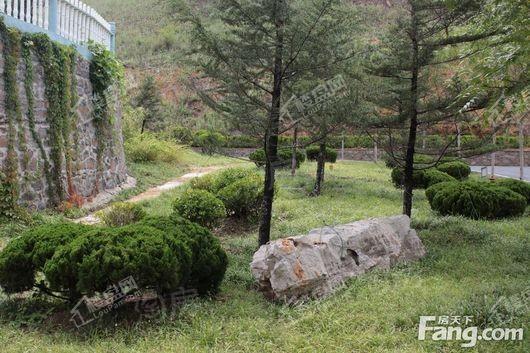 海郡壹號洋房实景图