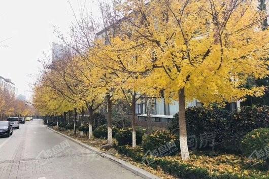山语墅实景图