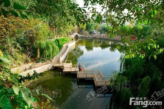 明珠山庄商铺实景图
